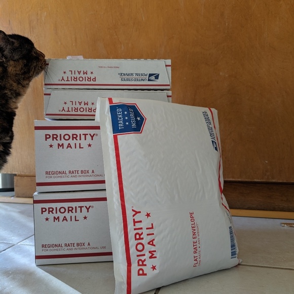 Meet Angie & Suki! - Picture 11 of 12